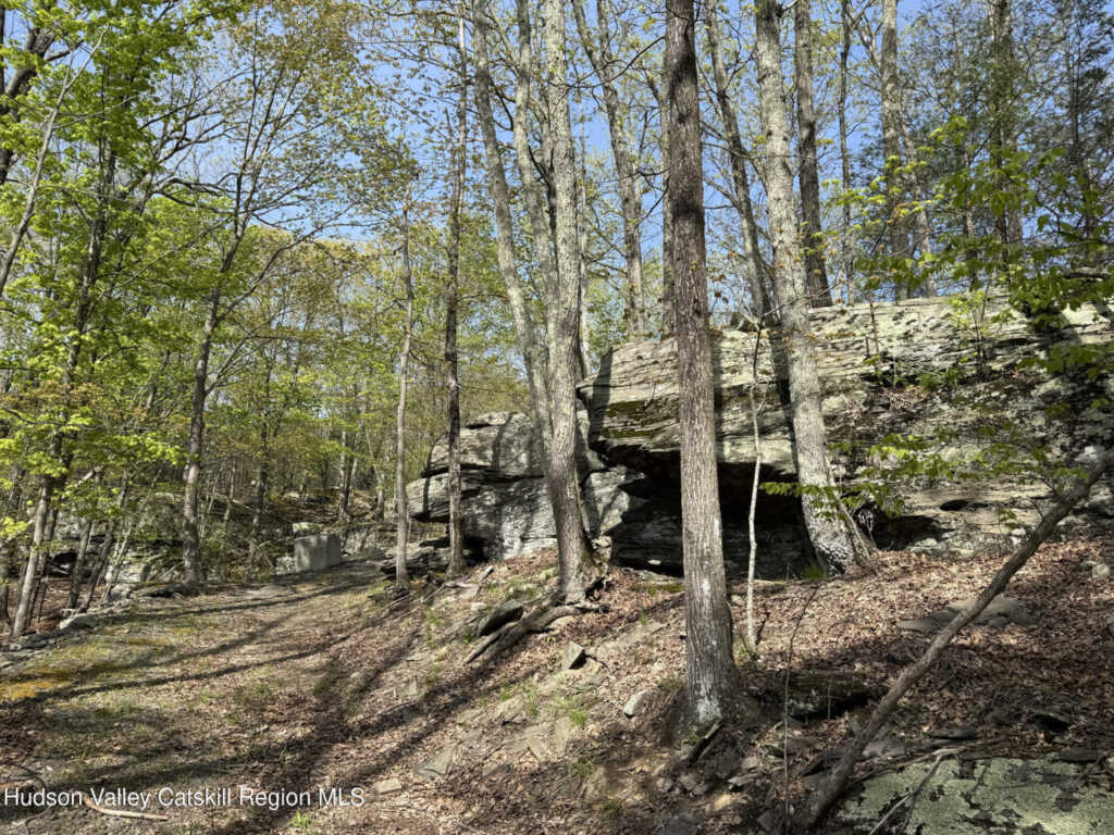 21 Ori'S View Drive, Saugerties, NY 12477 - Photo 43 of 43