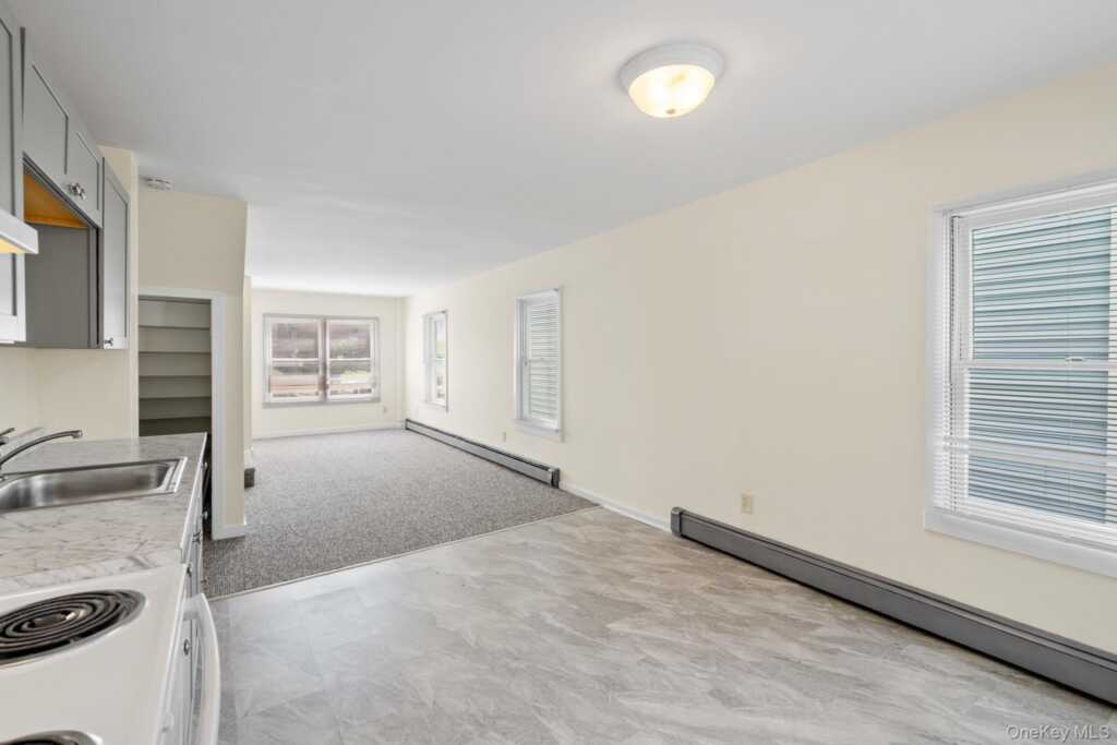 252-254 Partition Street, Saugerties, NY 12477 - Photo 5 of 35