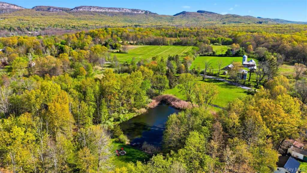 88 Bruynswick Road, New Paltz, NY 12561 - Photo 31 of 42