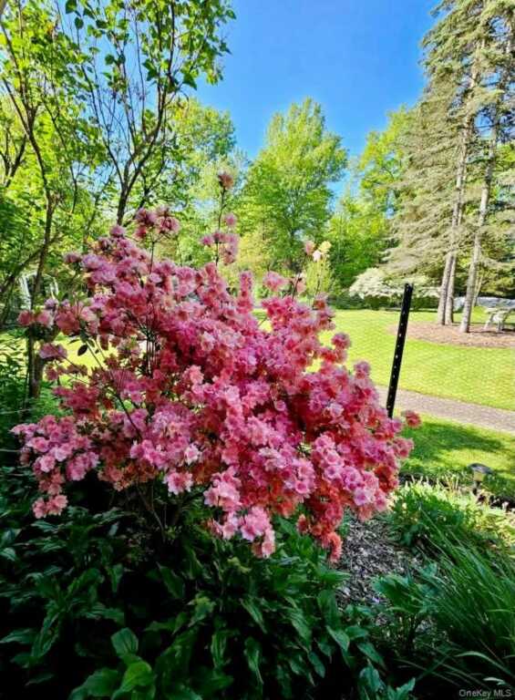 15 Unity Lane, New Paltz, NY 12561 - Photo 40 of 50