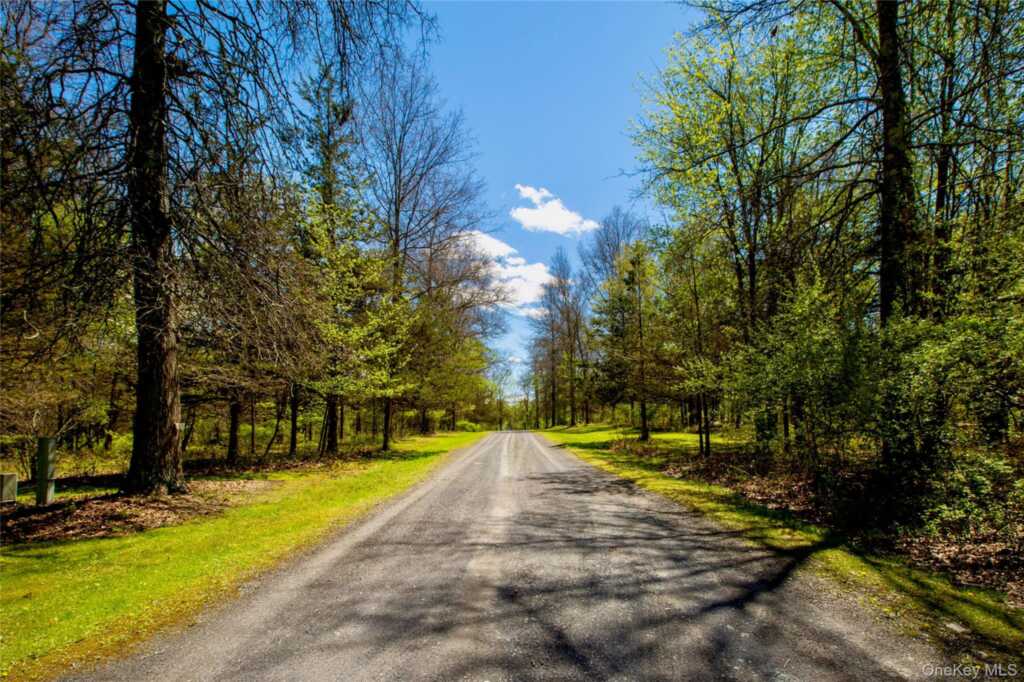 15 Unity Lane, New Paltz, NY 12561 - Photo 50 of 50