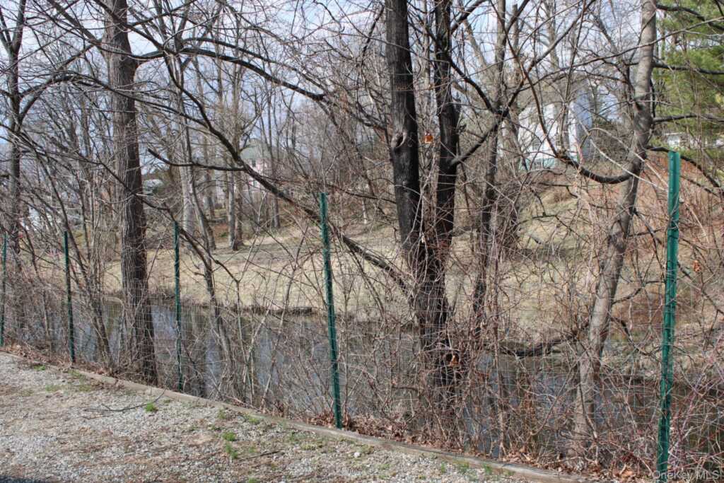 12 S Parsonage Street, Rhinebeck, NY 12572 - Photo 45 of 49
