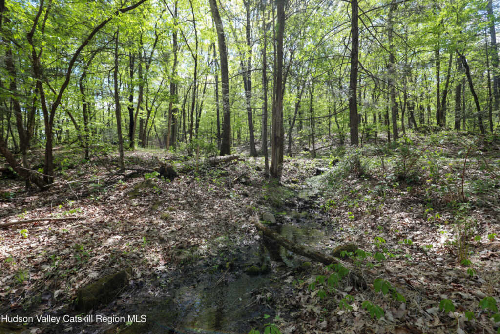 77 Ulster Landing Road, Kingston, NY 12401 - Photo 27 of 29