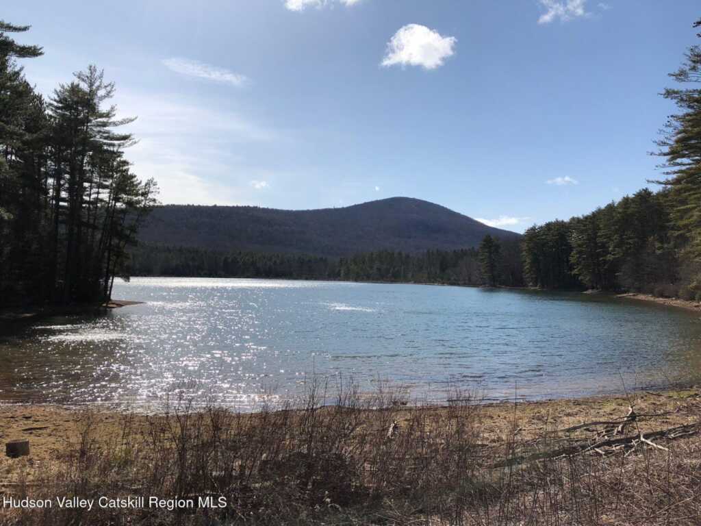 3870 New York 212, Woodstock, NY 12498 - Photo 7 of 50