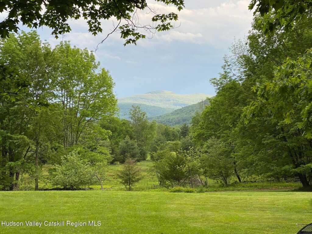 206 Hutchin Hill Road, Woodstock, NY 12498 - Photo 15 of 31