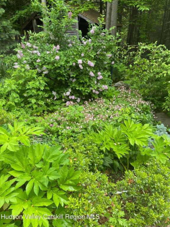 206 Hutchin Hill Road, Woodstock, NY 12498 - Photo 17 of 31
