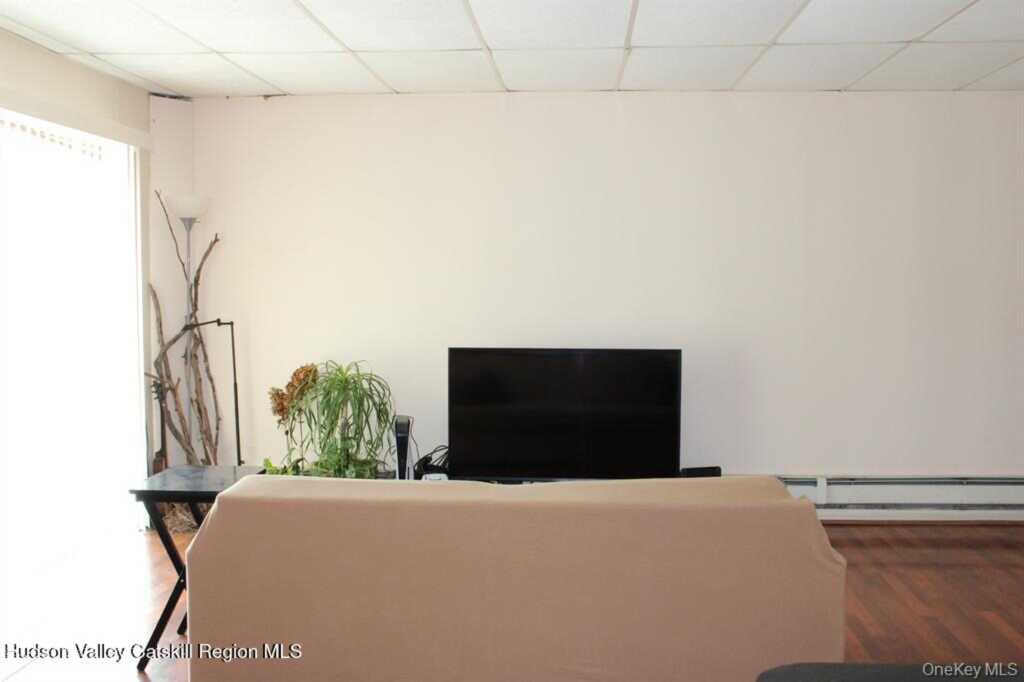 12 Parsonage Street, Rhinebeck, NY 12572 - Photo 40 of 50