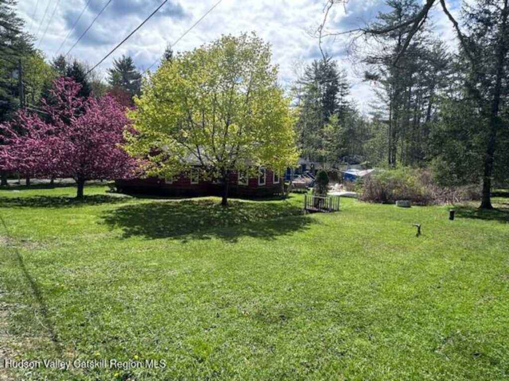 123 Herdman Road, Phoenicia, NY 12464 - Photo 4 of 19