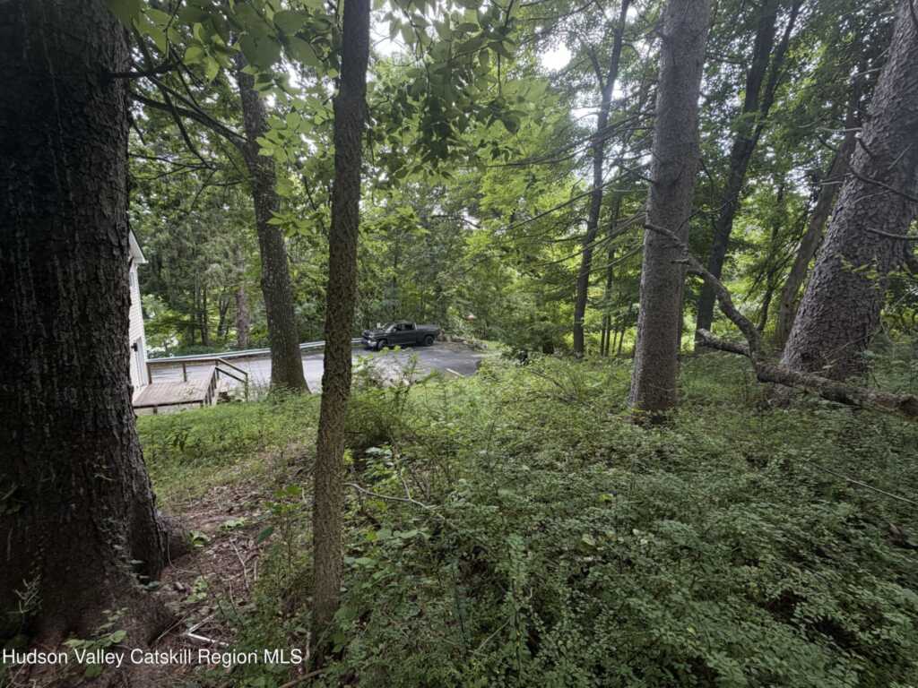 20 Campbell Street, Rosendale, NY 12472 - Photo 43 of 46
