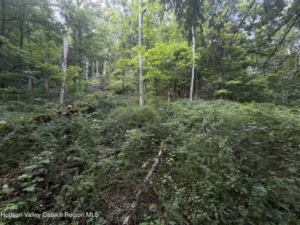 20 Campbell Street, Rosendale, NY 12472 - Photo 44 of 46