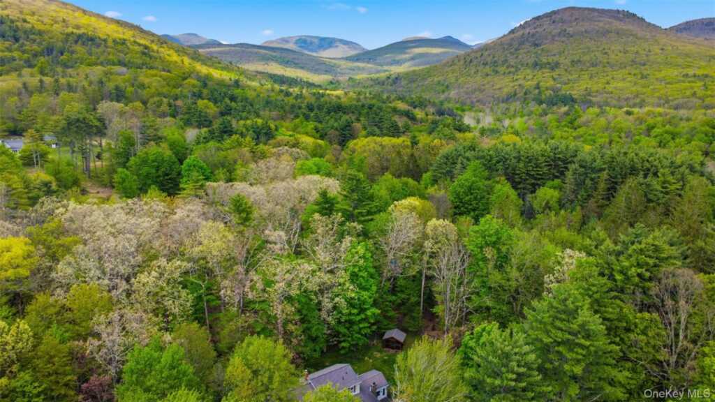 168 Cooper Lake Road, Woodstock, NY 12409 - Photo 42 of 45