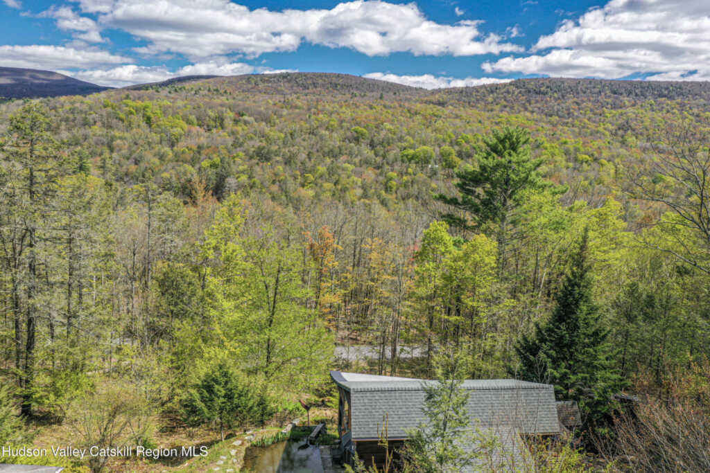 14 Lions Way, Woodstock, NY 12409 - Photo 47 of 48