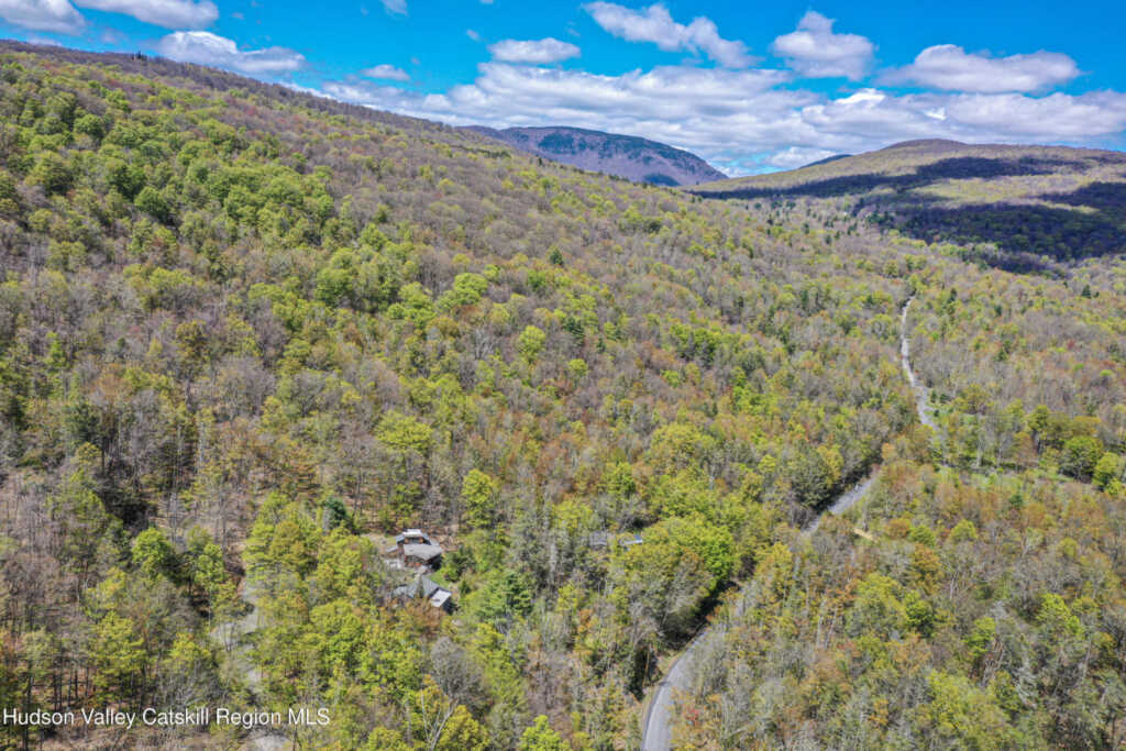 14 Lions Way, Woodstock, NY 12409 - Photo 48 of 48