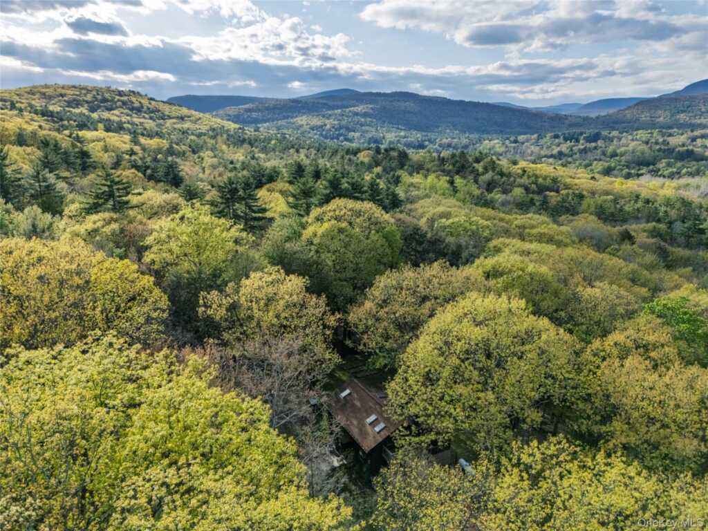 53 Blueberry Hill Road, Woodstock, NY 12409 - Photo 39 of 39