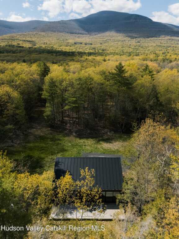 115 Goat Hill Road, Saugerties, NY 12477 - Photo 3 of 20