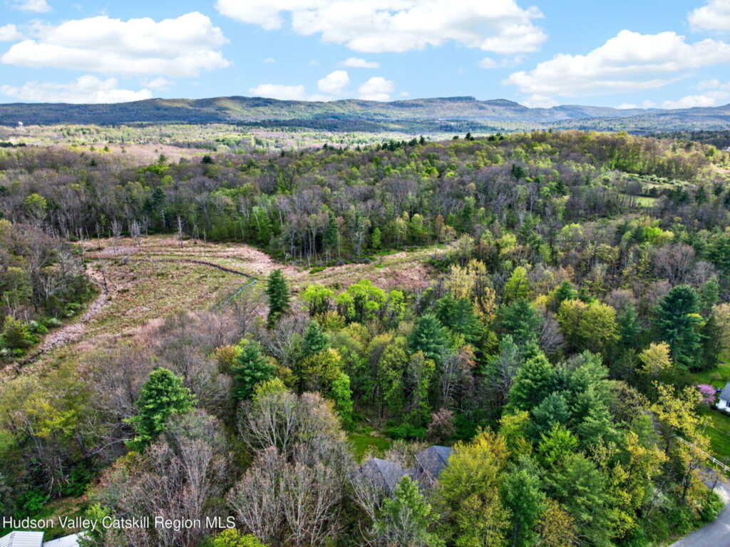 35 Cedar Ridge Road, Stone Ridge, NY 12484 - Photo 45 of 46