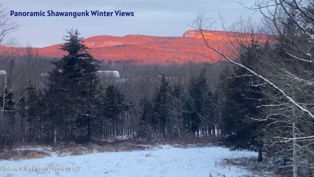 348 Libertyville Road, New Paltz, NY 12561 - Photo 5 of 50