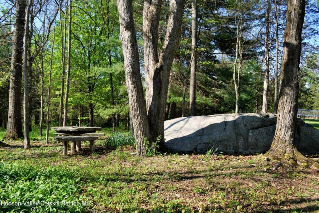 348 Libertyville Road, New Paltz, NY 12561 - Photo 6 of 50