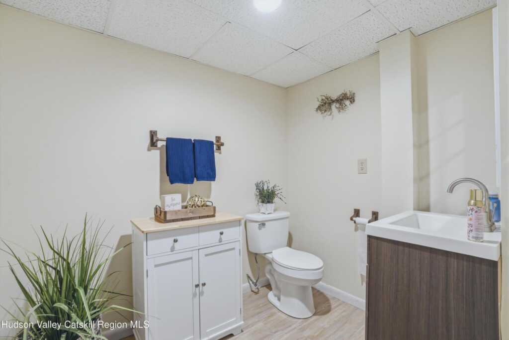 113 Chestnut Street, Kingston, NY 12401 - Photo 21 of 26