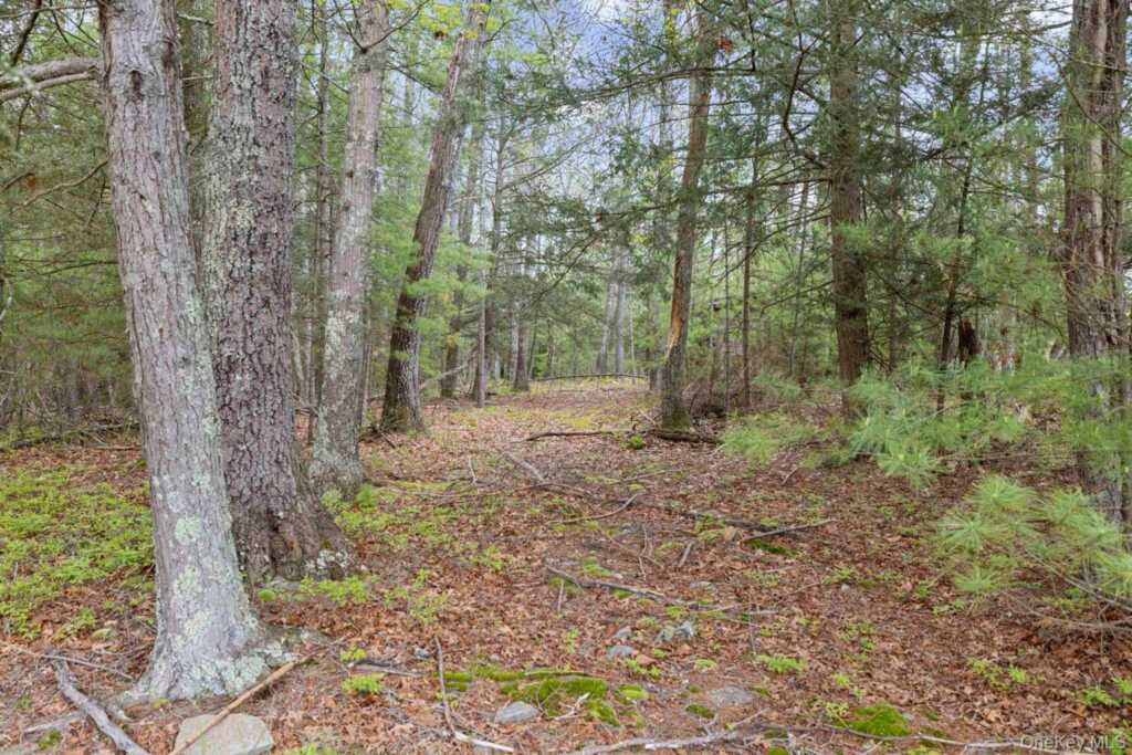 125 Stone Road, Hurley, NY 12491 - Photo 37 of 43