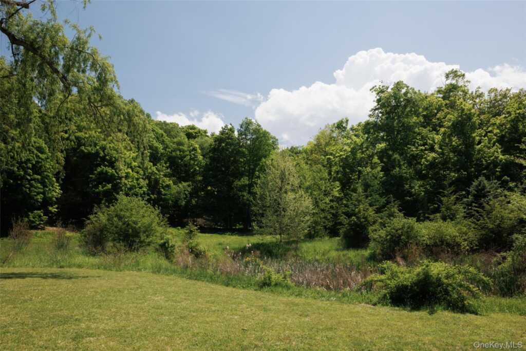 155 Wey Road, Rhinebeck, NY 12572 - Photo 2 of 28