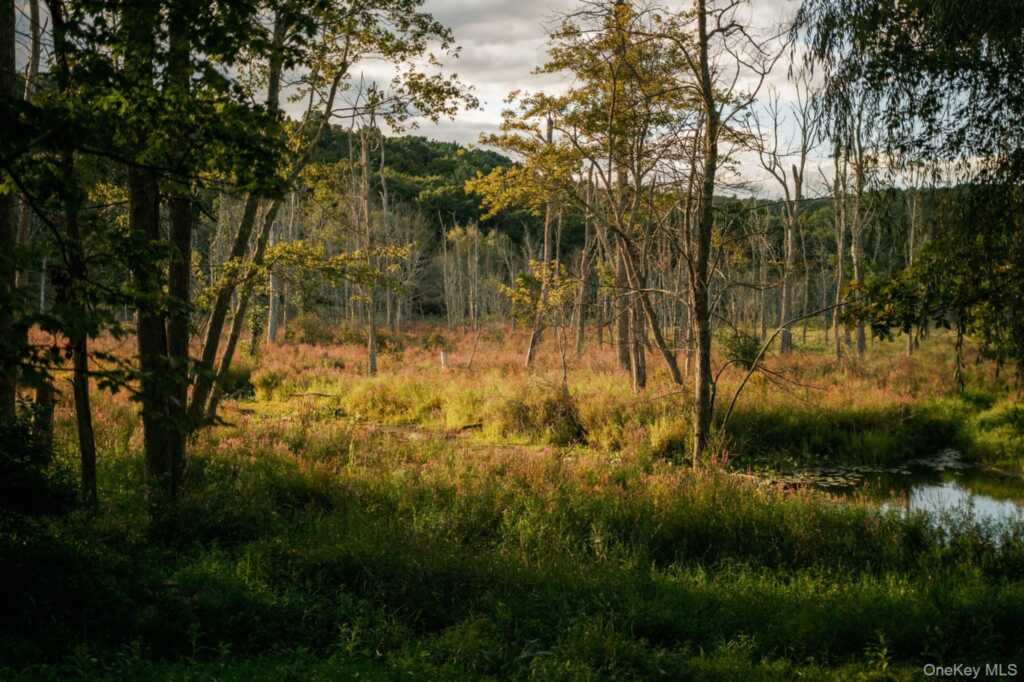 440 Milan Hollow Road, Rhinebeck, NY 12572 - Photo 28 of 34