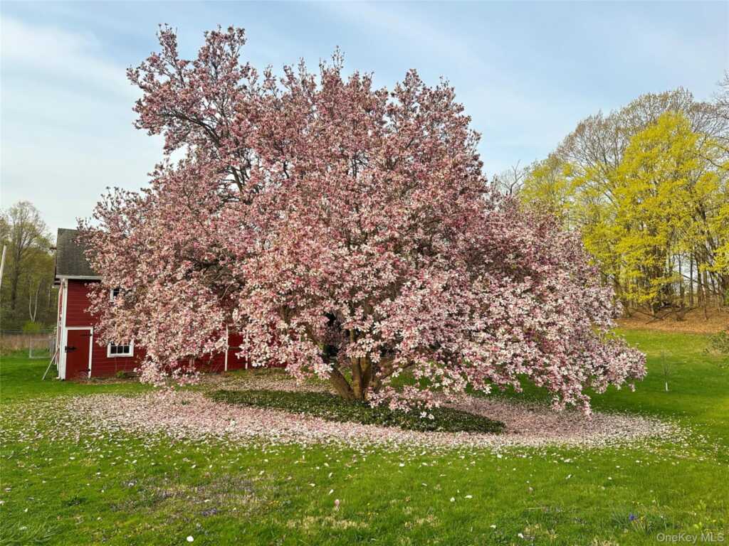 77 Upper Hook Road, Rhinebeck, NY 12572 - Photo 42 of 50