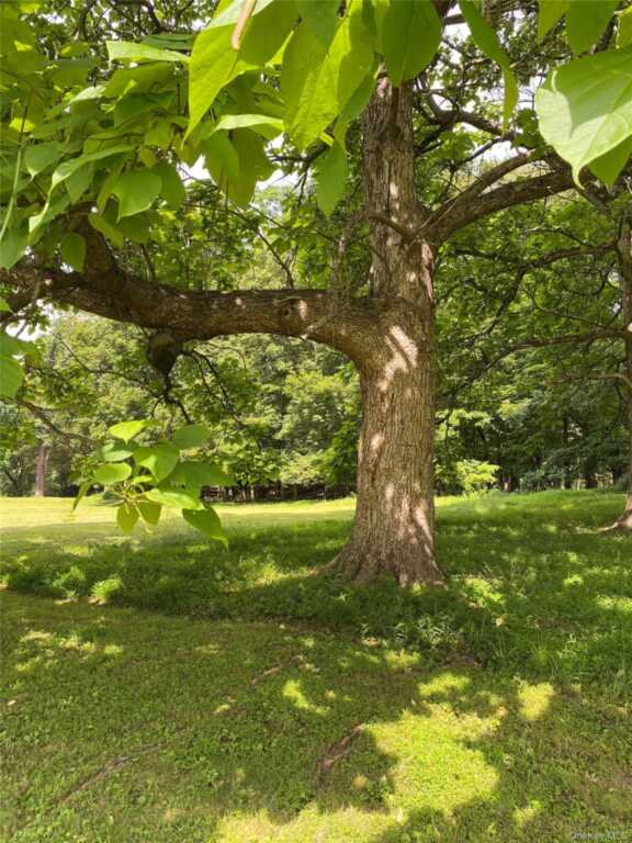 77 Upper Hook Road, Rhinebeck, NY 12572 - Photo 44 of 50