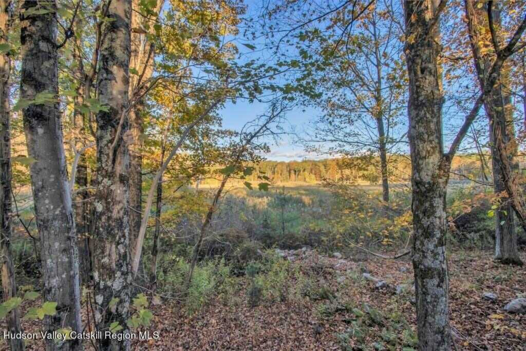 120 Dashville Road, New Paltz, NY 12561 - Photo 42 of 45
