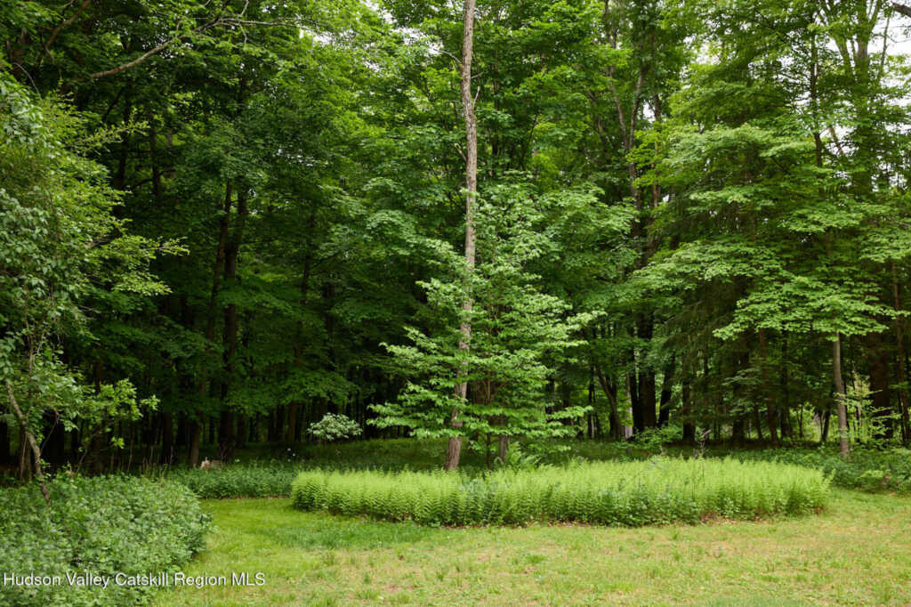 96 Plains Road, New Paltz, NY 12561 - Photo 40 of 47