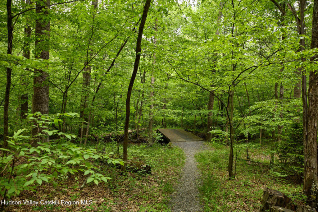 96 Plains Road, New Paltz, NY 12561 - Photo 42 of 47