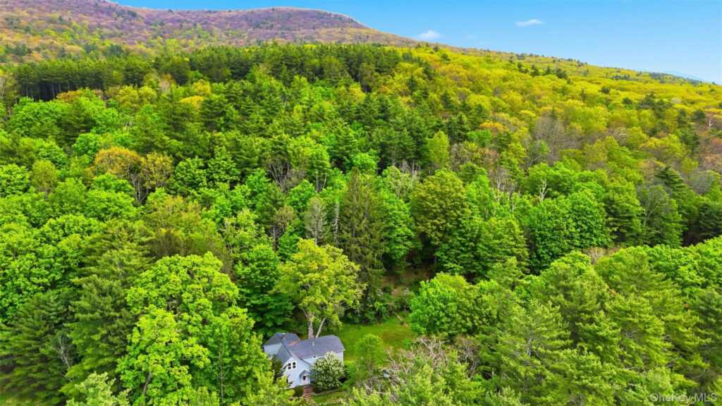 726 Wittenberg Road, Woodstock, NY 12457 - Photo 29 of 32