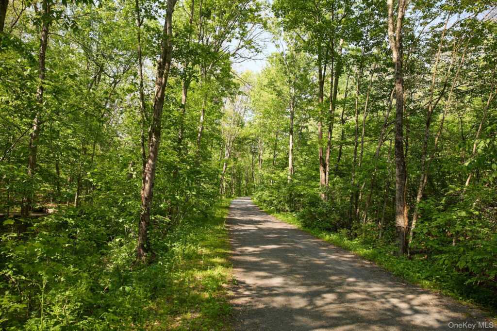 96 Plains Road, New Paltz, NY 12561 - Photo 11 of 47