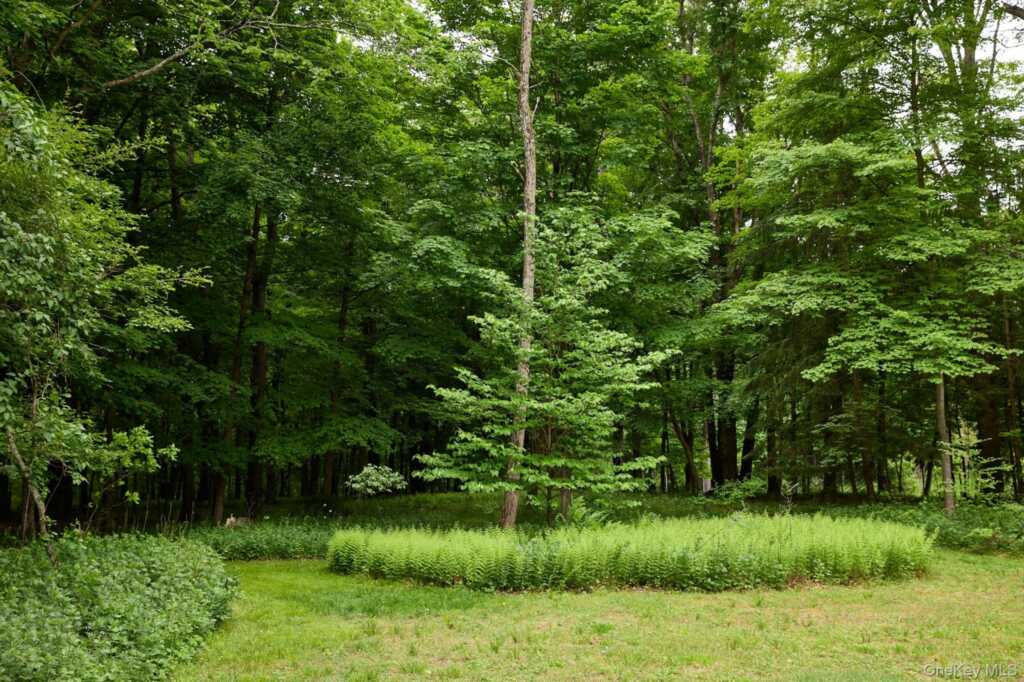 96 Plains Road, New Paltz, NY 12561 - Photo 40 of 47