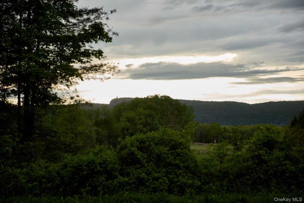 96 Plains Road, New Paltz, NY 12561 - Photo 45 of 47