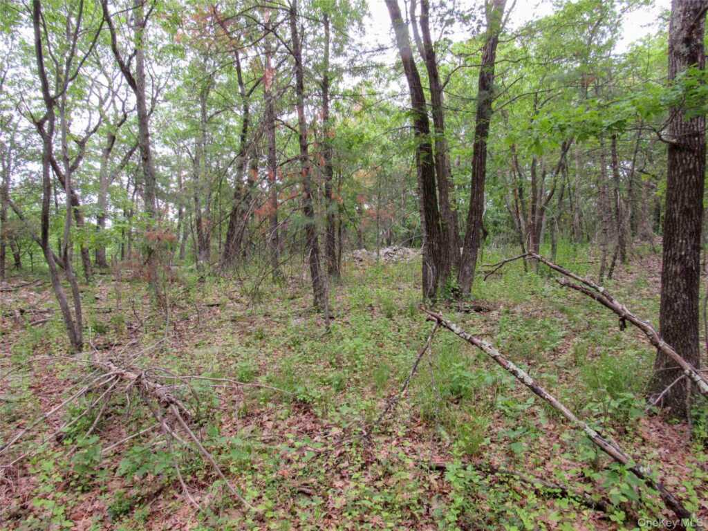 1079 Josephs Boulevard, Saugerties, NY 12477 - Photo 14 of 39