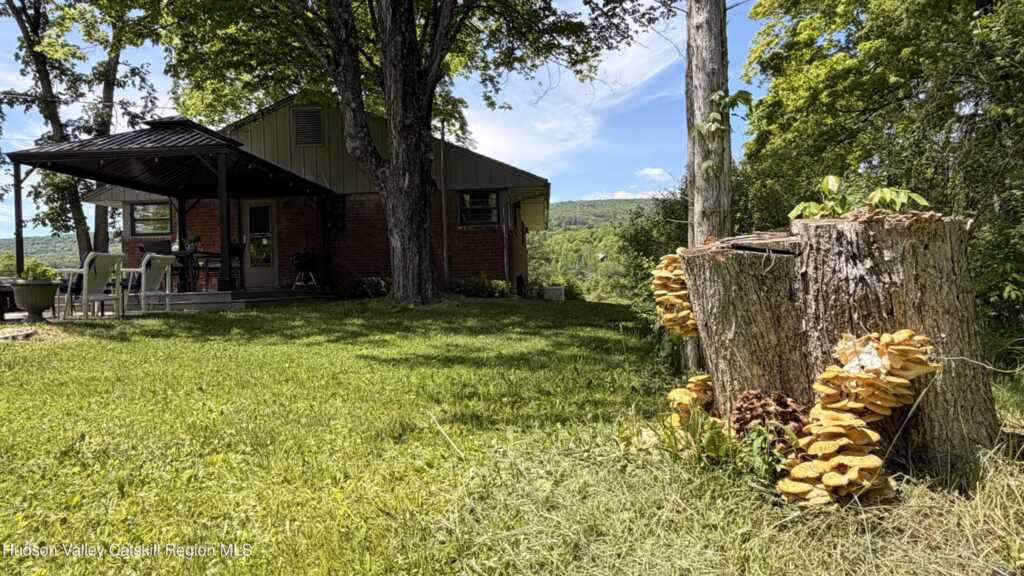 91 Mountain Rest Road, New Paltz, NY 12561 - Photo 21 of 24