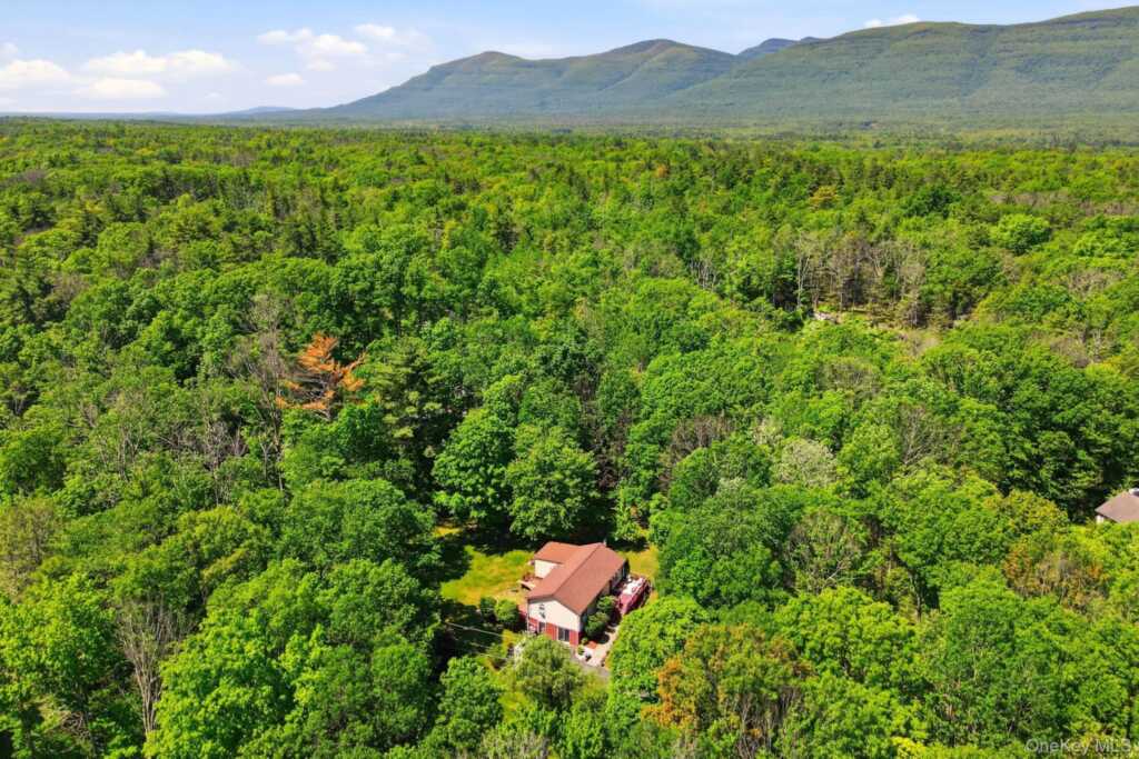 13 Diamond Court, Saugerties, NY 12477 - Photo 2 of 32
