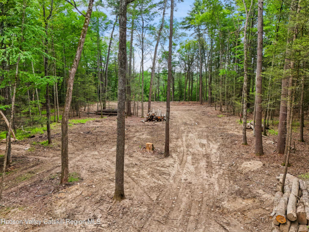 209 Beaverkill Road, Kingston, NY 12401 - Photo 2 of 44