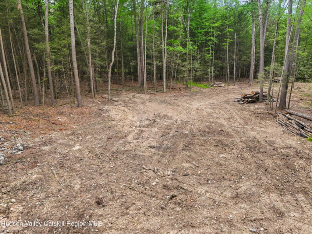 209 Beaverkill Road, Kingston, NY 12401 - Photo 26 of 44