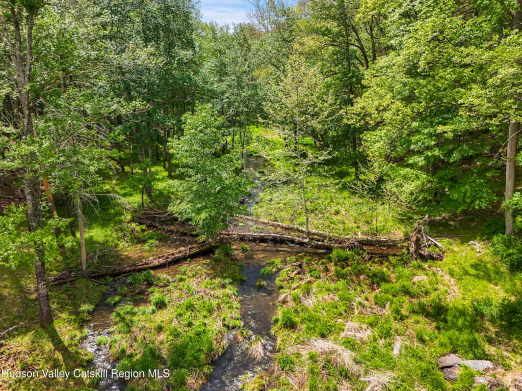 209 Beaverkill Road, Kingston, NY 12401 - Photo 28 of 44