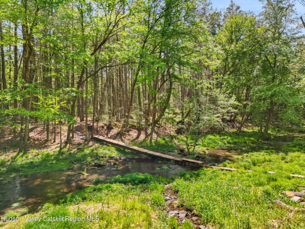 209 Beaverkill Road, Kingston, NY 12401 - Photo 29 of 44