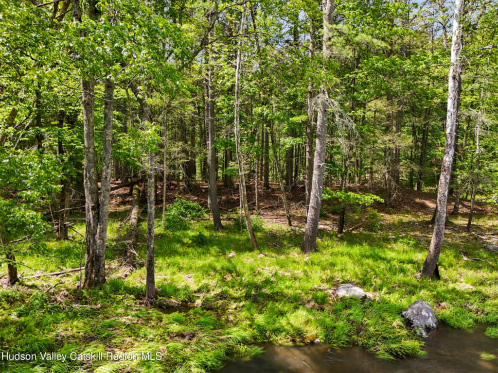 209 Beaverkill Road, Kingston, NY 12401 - Photo 30 of 44