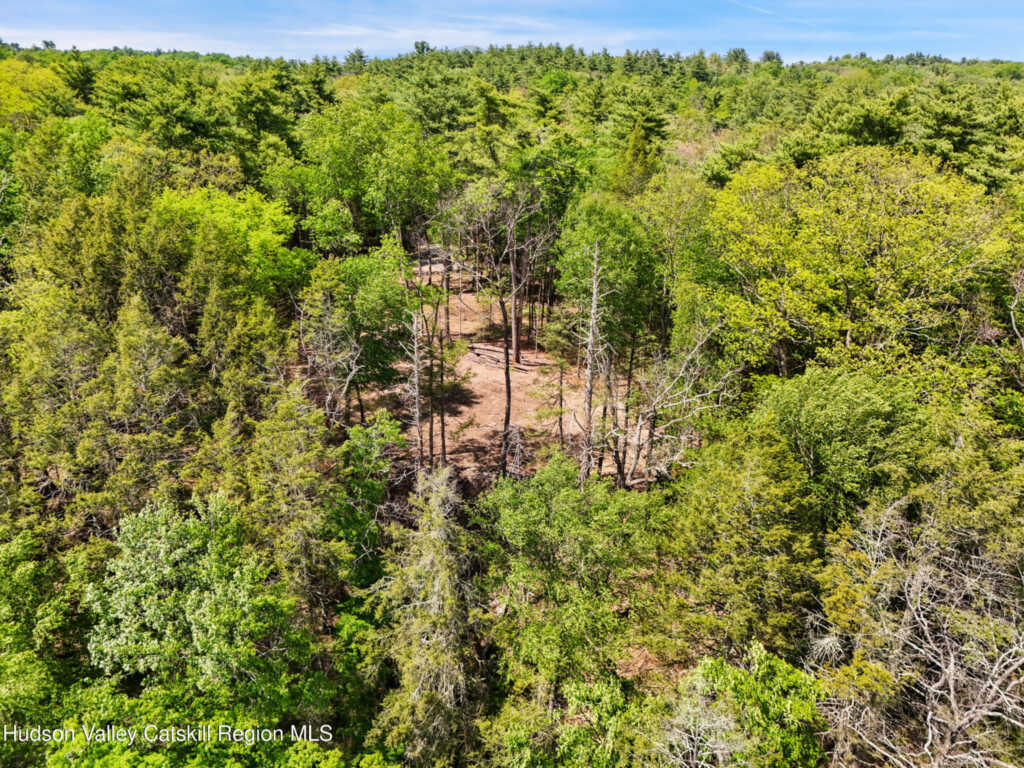 209 Beaverkill Road, Kingston, NY 12401 - Photo 31 of 44