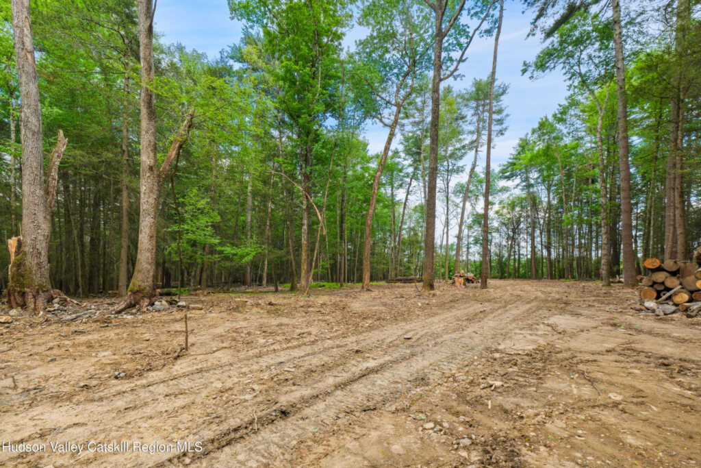 209 Beaverkill Road, Kingston, NY 12401 - Photo 32 of 44