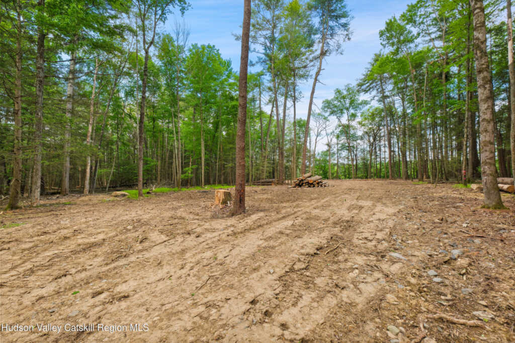 209 Beaverkill Road, Kingston, NY 12401 - Photo 33 of 44