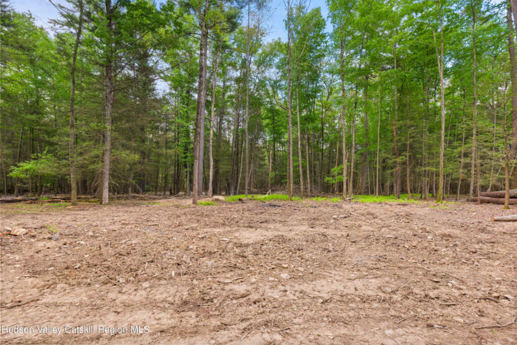 209 Beaverkill Road, Kingston, NY 12401 - Photo 34 of 44
