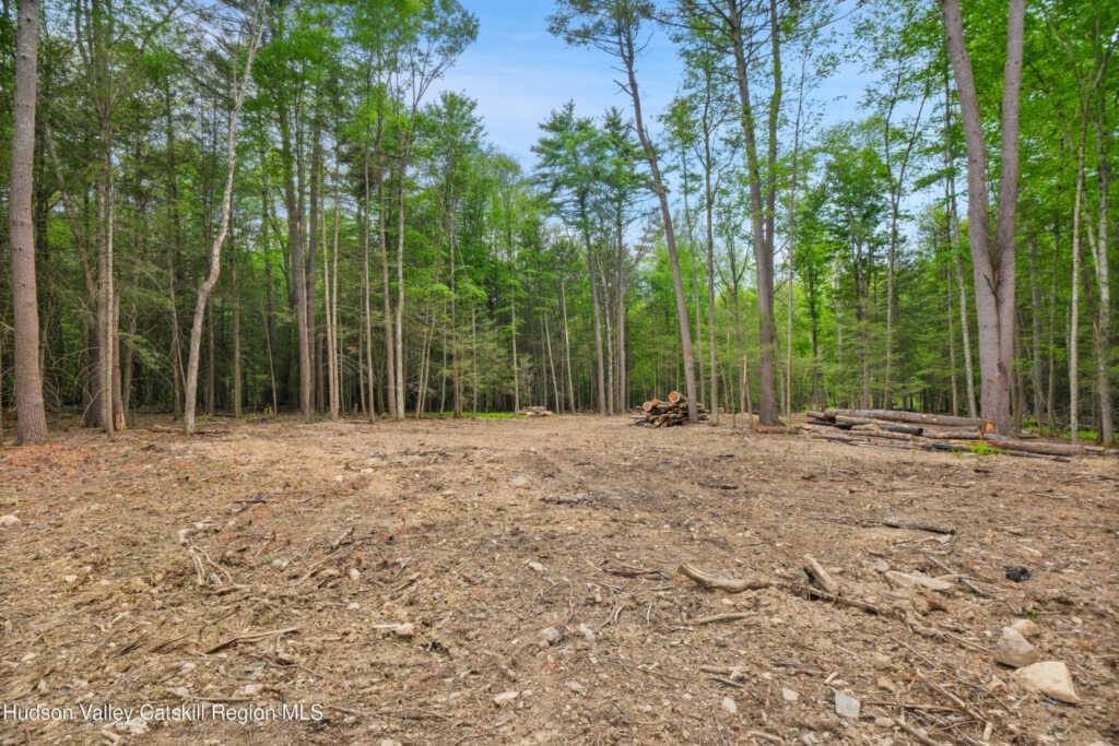 209 Beaverkill Road, Kingston, NY 12401 - Photo 37 of 44