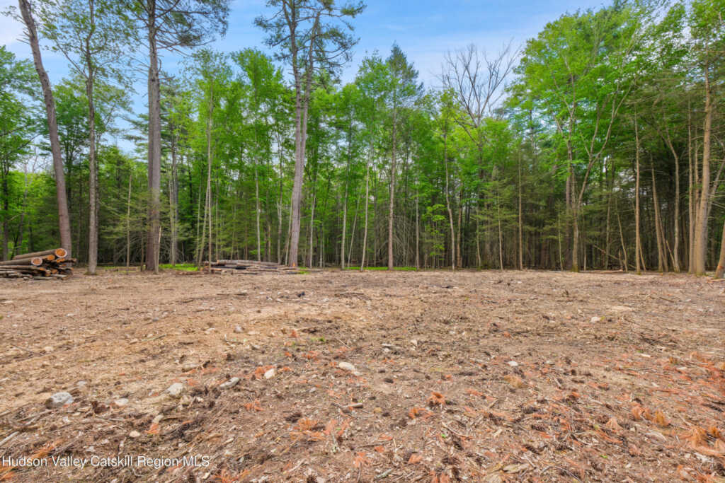 209 Beaverkill Road, Kingston, NY 12401 - Photo 38 of 44