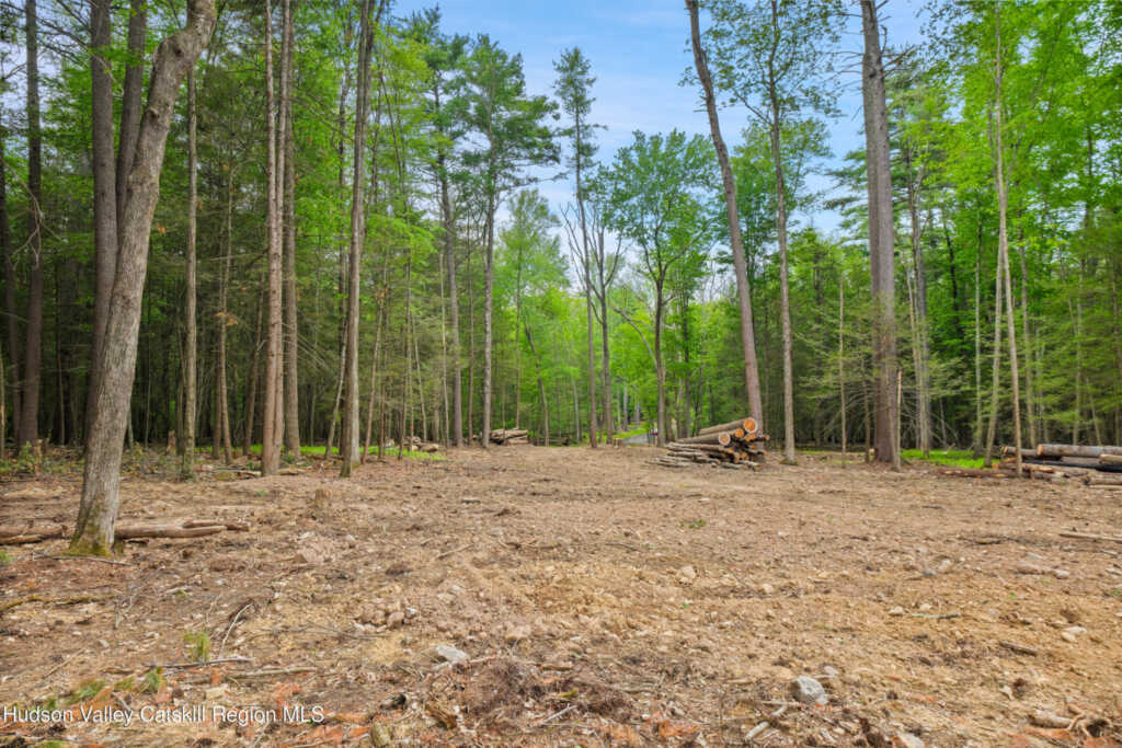 209 Beaverkill Road, Kingston, NY 12401 - Photo 39 of 44